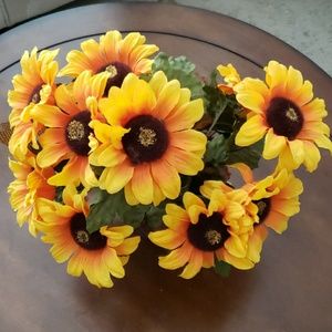 Meet your Posher, Aimee